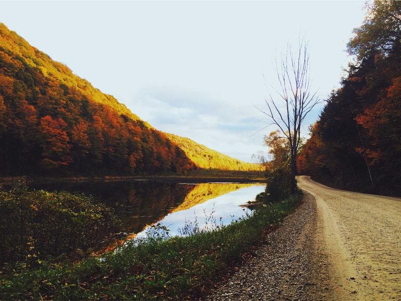 Applied Training Design